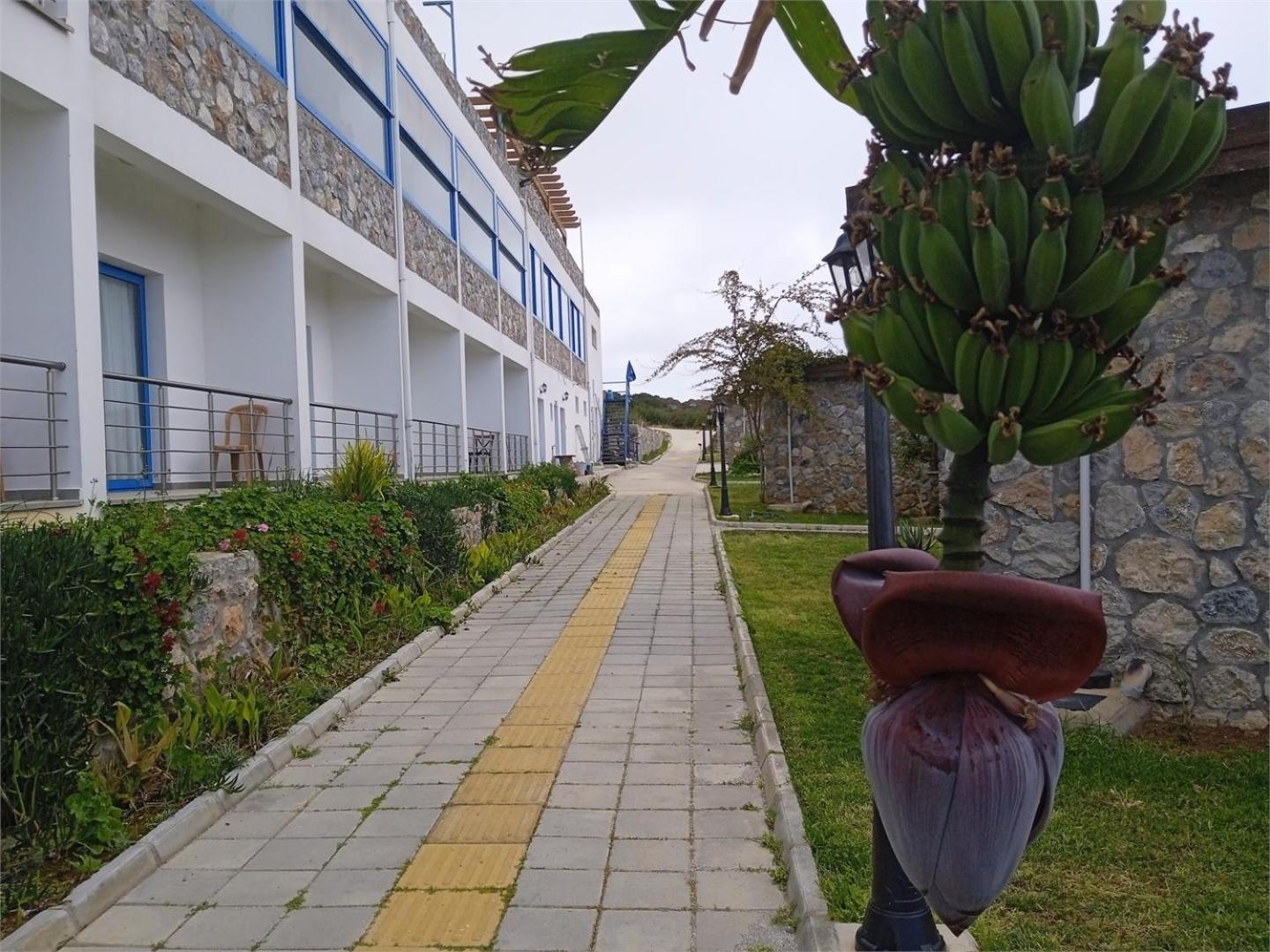 Ardic Agaci Holiday Village Famagusta  Exterior photo